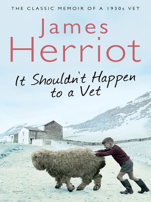 cover image of It Shouldn't Happen to a Vet